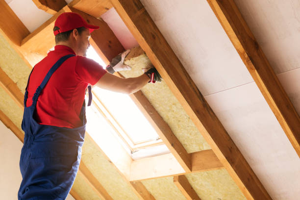 Best Attic Insulation Installation  in Beulah, ND